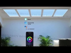 Künstliche Fälschung der Decke Led Dachfenster-Panel Hersteller besten Preis