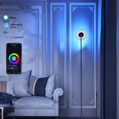 kaufen Multi Szene DC 24V RGB Lampenecke, Sprachbefehl Stehlampe LED RGB Online-Herstellung