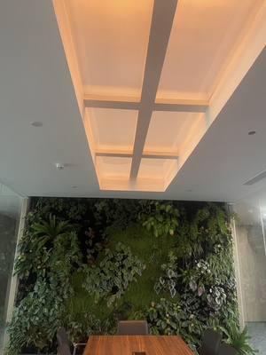 kaufen Rectangle Faux Skylight Panels 220mm Highness Customizable Solutions Online-Herstellung