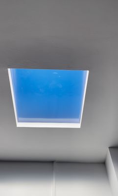 kaufen Zirkadianische LED-Kunstlichtdecke, 30° Licht, CCT 2100K–7800K, Hochleistung Online-Herstellung