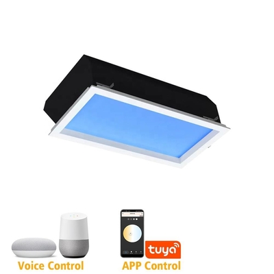 110 V 220 V 30 x 60 cm Sky Light Panel, 50 W 7800 K Oberlichter für Raum-LED