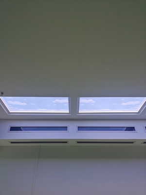 Aluminiumlegierung LED-Panel für Außenelemente mit künstlicher Oberflächenbeleuchtung 300 W