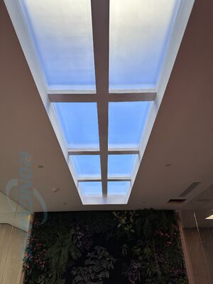 1200x600mm Artificial LED Skylight with Smart Control and Circadian Lighting
